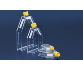 细胞培养瓶25 - 300cm?