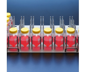 450 - 600ml细胞培养管摇板